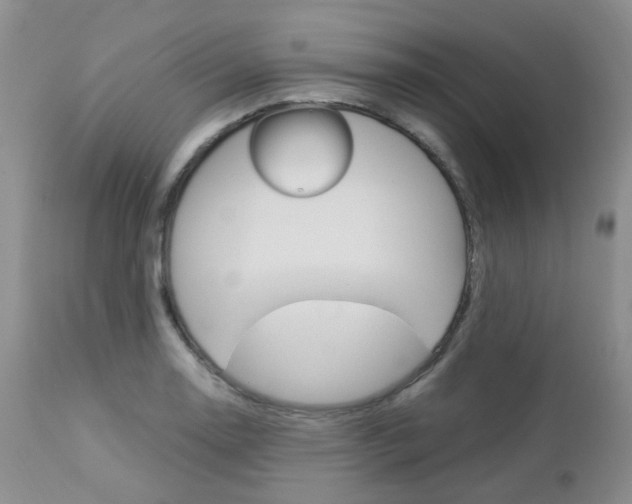 X0000113111130200908281011