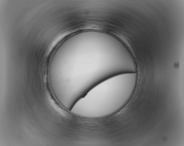 X0000113111131200908281011