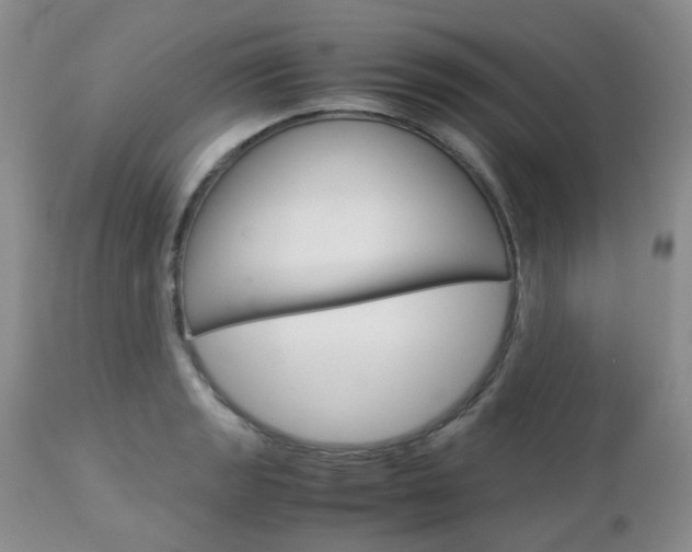 X0000113111133200908281011