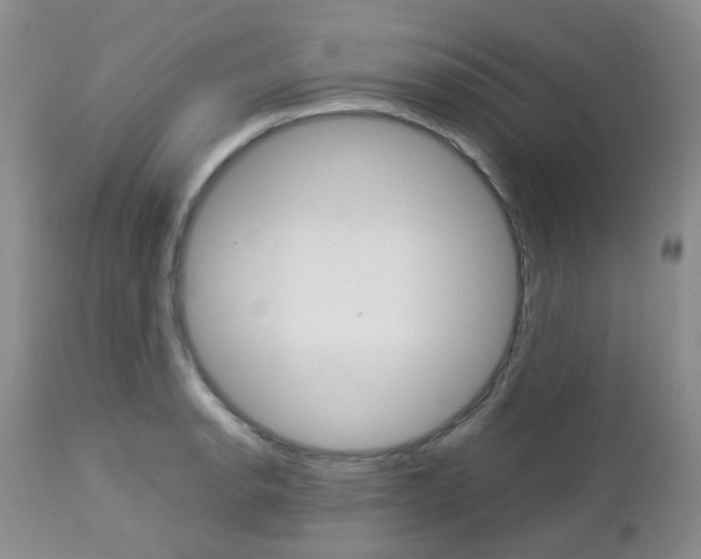 X0000113111134200908281011