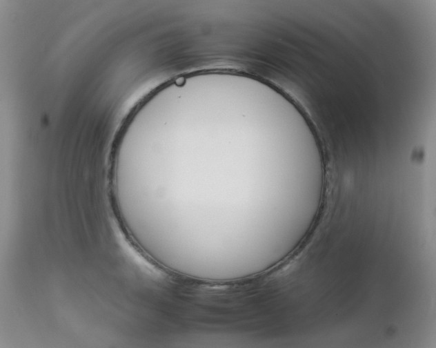 X0000113111135200908281011