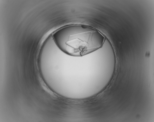 X0000113111136200908281011