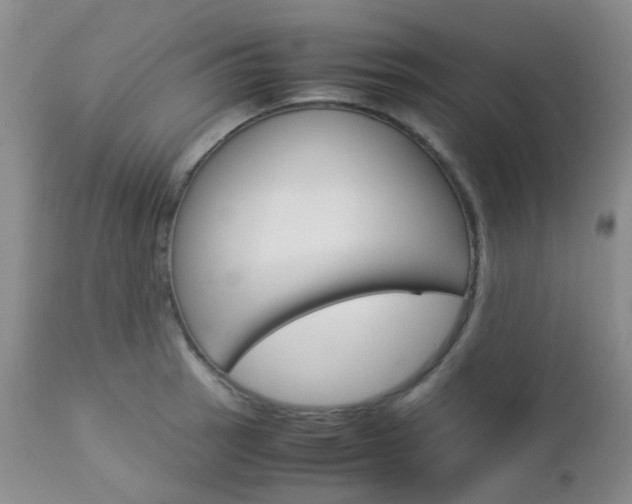 X0000113111137200908281011