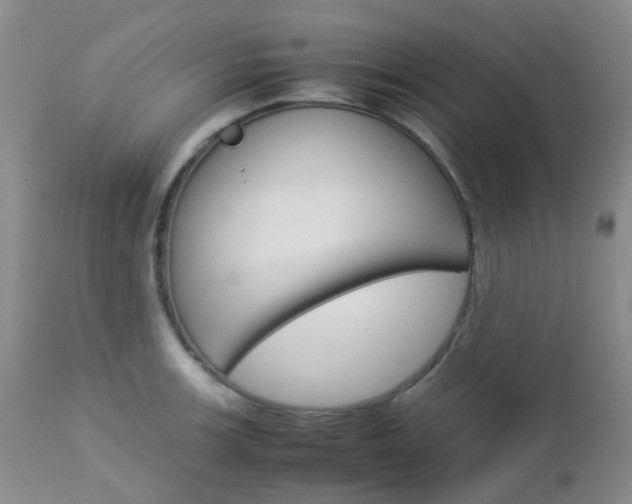 X0000113111139200908281011
