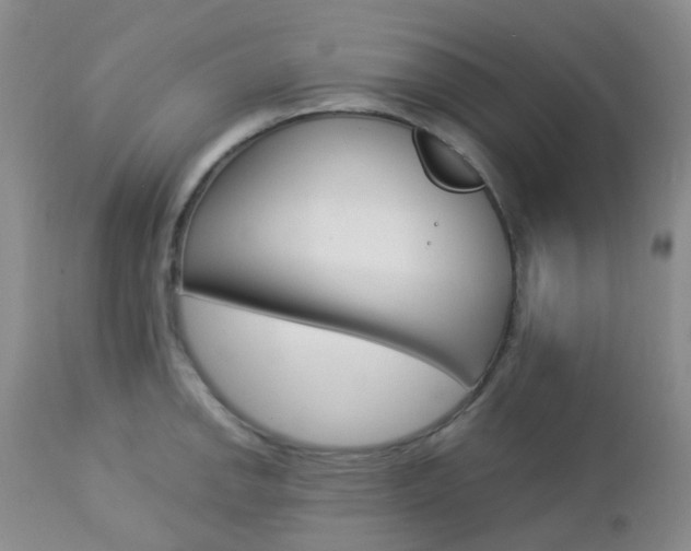 X0000113111142200908281011