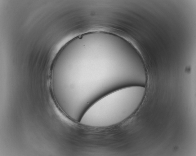 X0000113111143200908281011