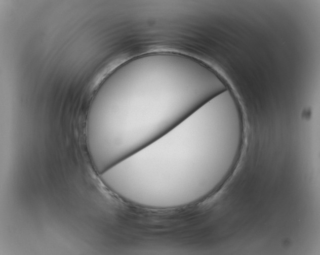 X0000113111145200908281011