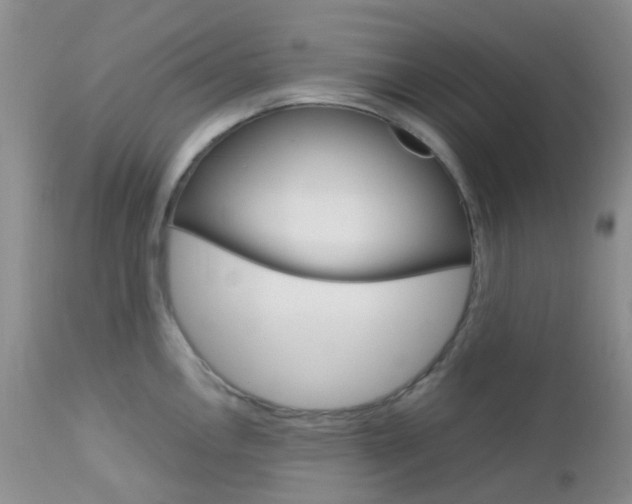 X0000113111146200908281011
