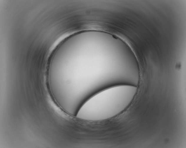 X0000113111147200908281011