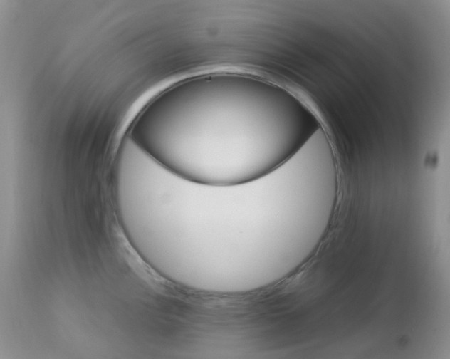 X0000113111148200908281011