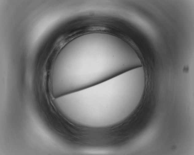 X0000113111151200908281011