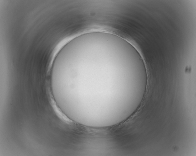 X0000113111152200908281011