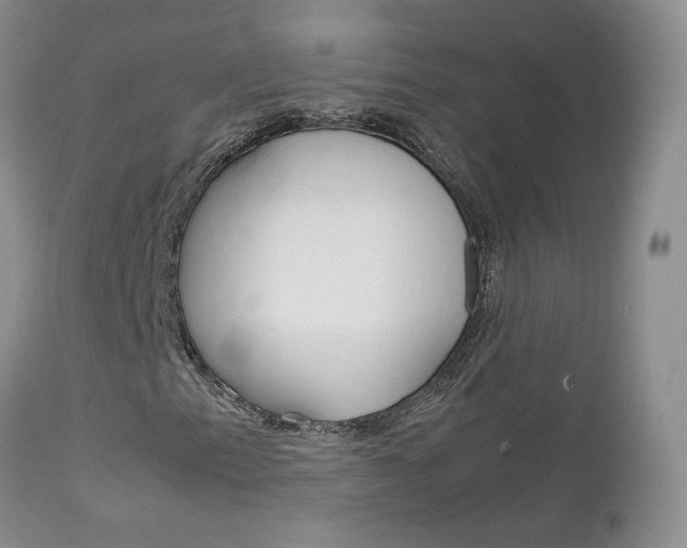 X0000113111153200908281010