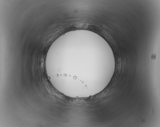 X0000113111154200908281010