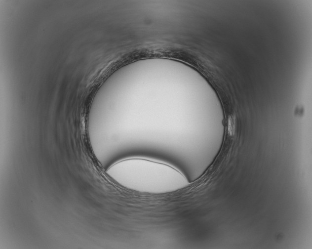 X0000113111155200908281010
