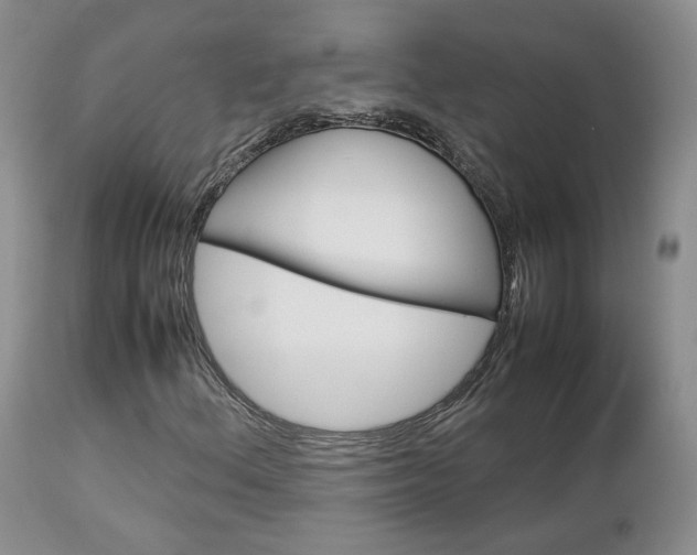X0000113111156200908281010