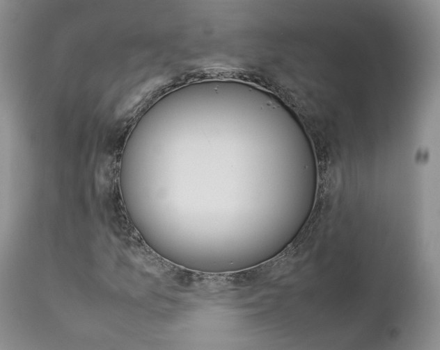 X0000113111157200908281010
