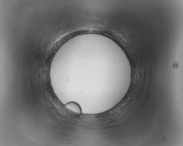 X0000113111158200908281010