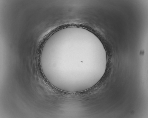 X0000113111159200908281010