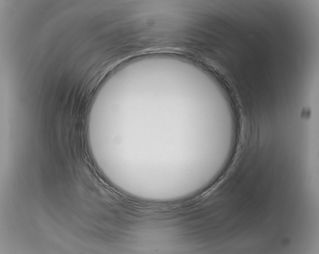 X0000113111161200908281010