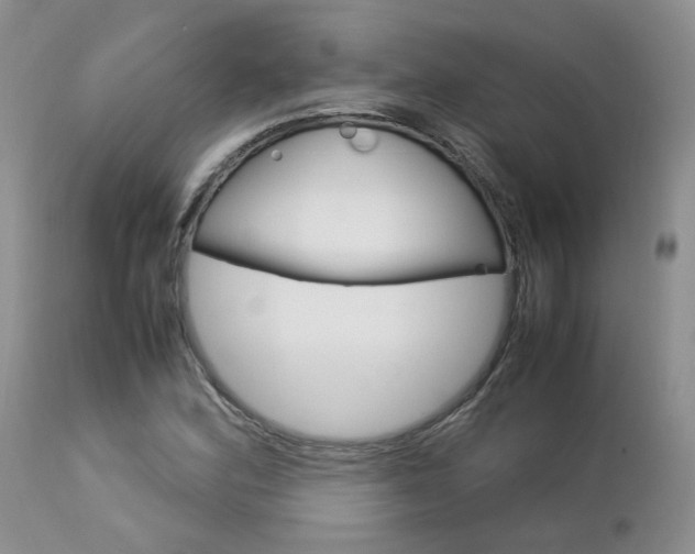 X0000113111164200908281010