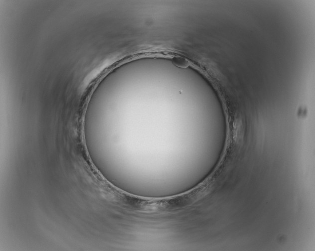 X0000113111165200908281010