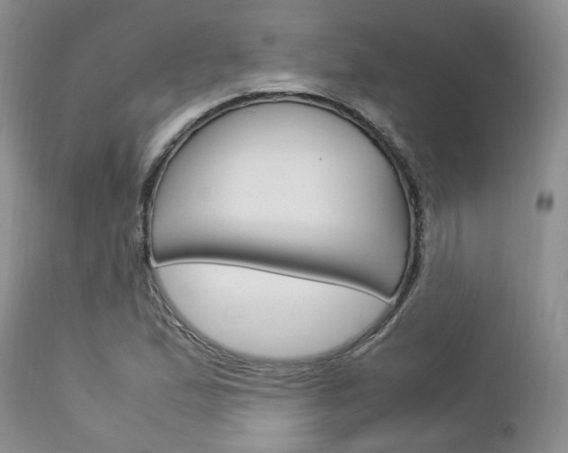 X0000113111167200908281010