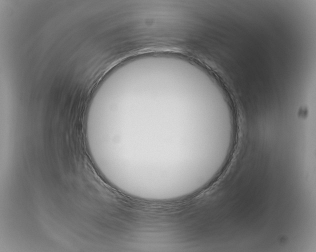 X0000113111169200908281010
