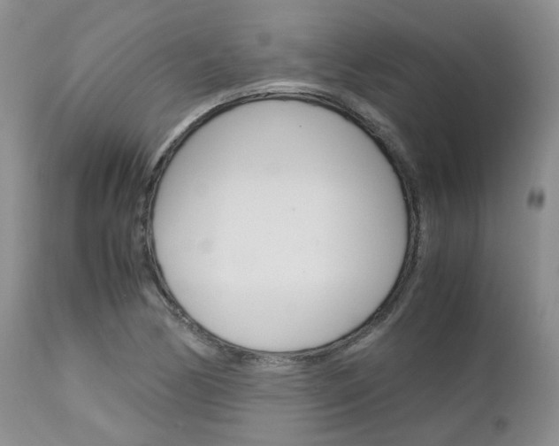 X0000113111170200908281010