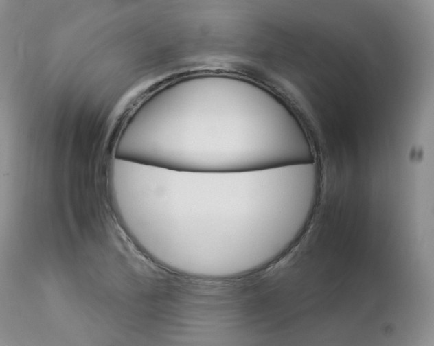 X0000113111172200908281010