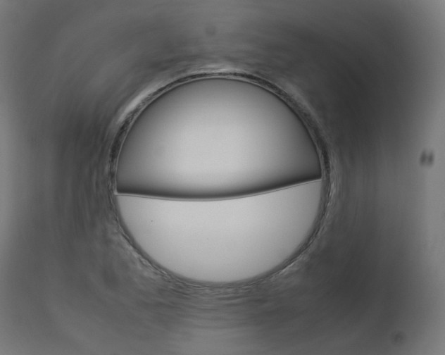 X0000113111173200908281010