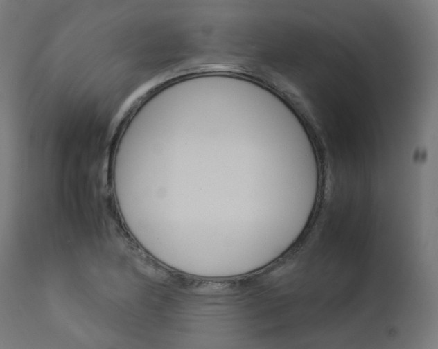 X0000113111174200908281010