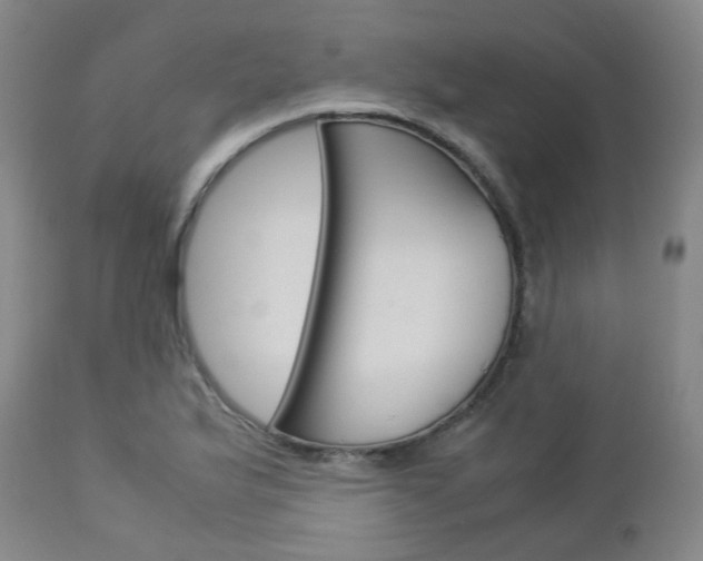 X0000113111175200908281010