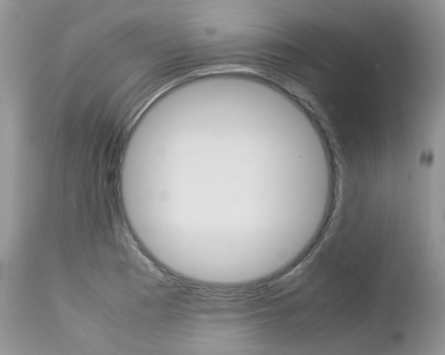 X0000113111177200908281010