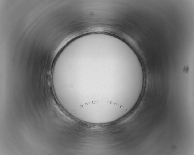 X0000113111178200908281010