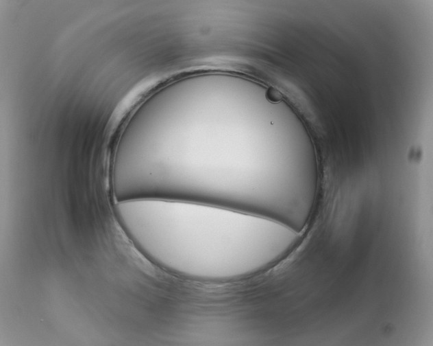 X0000113111180200908281010