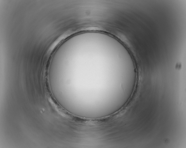X0000113111181200908281010
