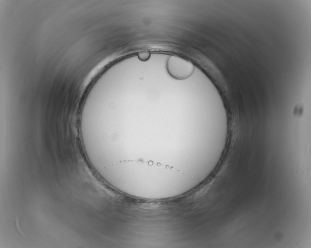 X0000113111182200908281010