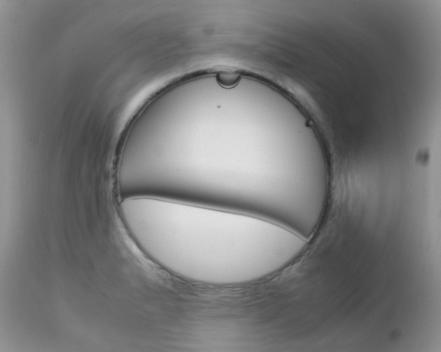 X0000113111183200908281010