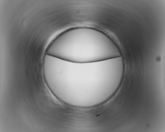 X0000113111184200908281010