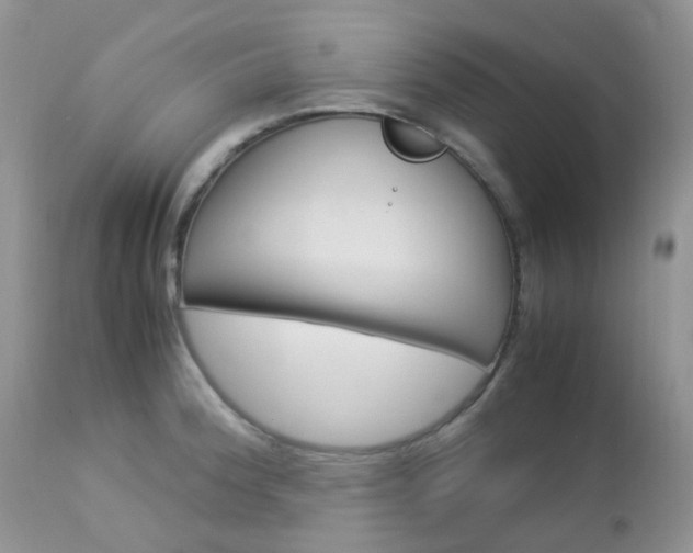 X0000113111188200908281010