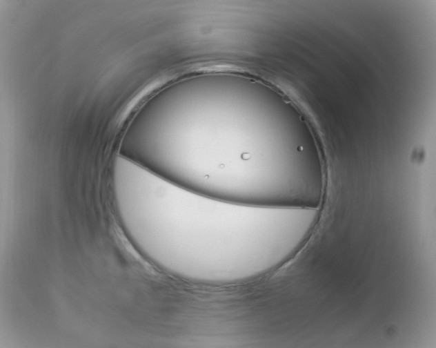 X0000113111189200908281010