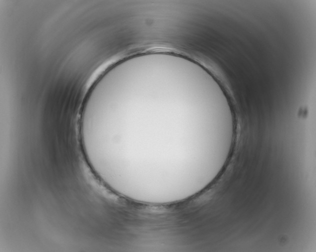 X0000113111190200908281010