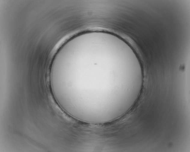 X0000113111191200908281010