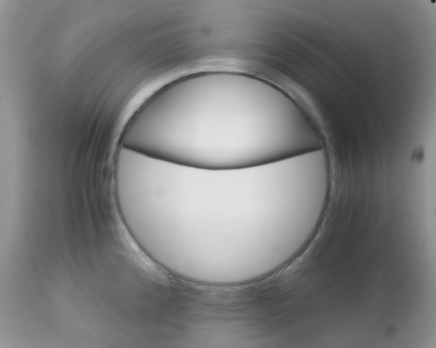 X0000113111192200908281010