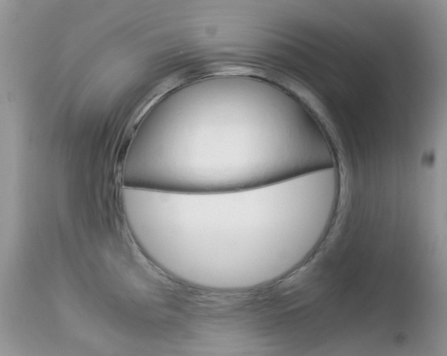 X0000113111193200908281010