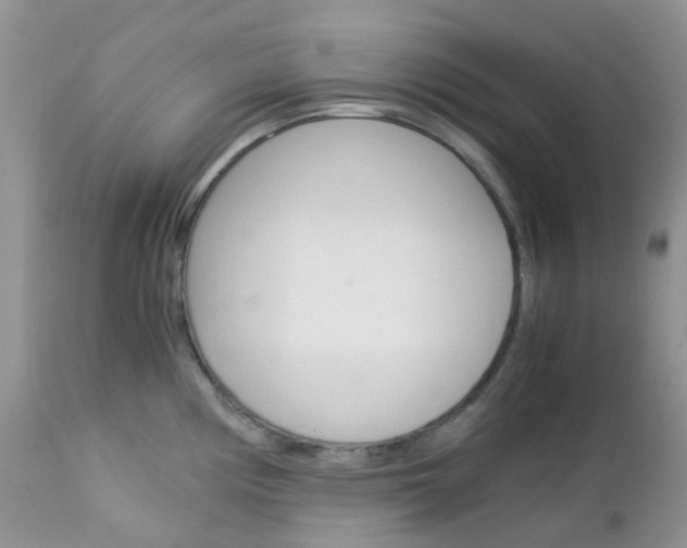 X0000113111194200908281010