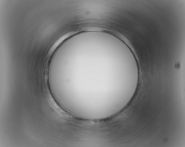 X0000113111195200908281010