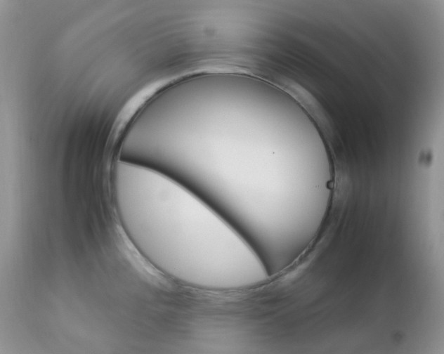 X0000113111196200908281010