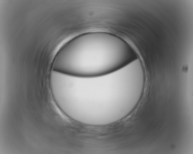 X0000113111197200908281009